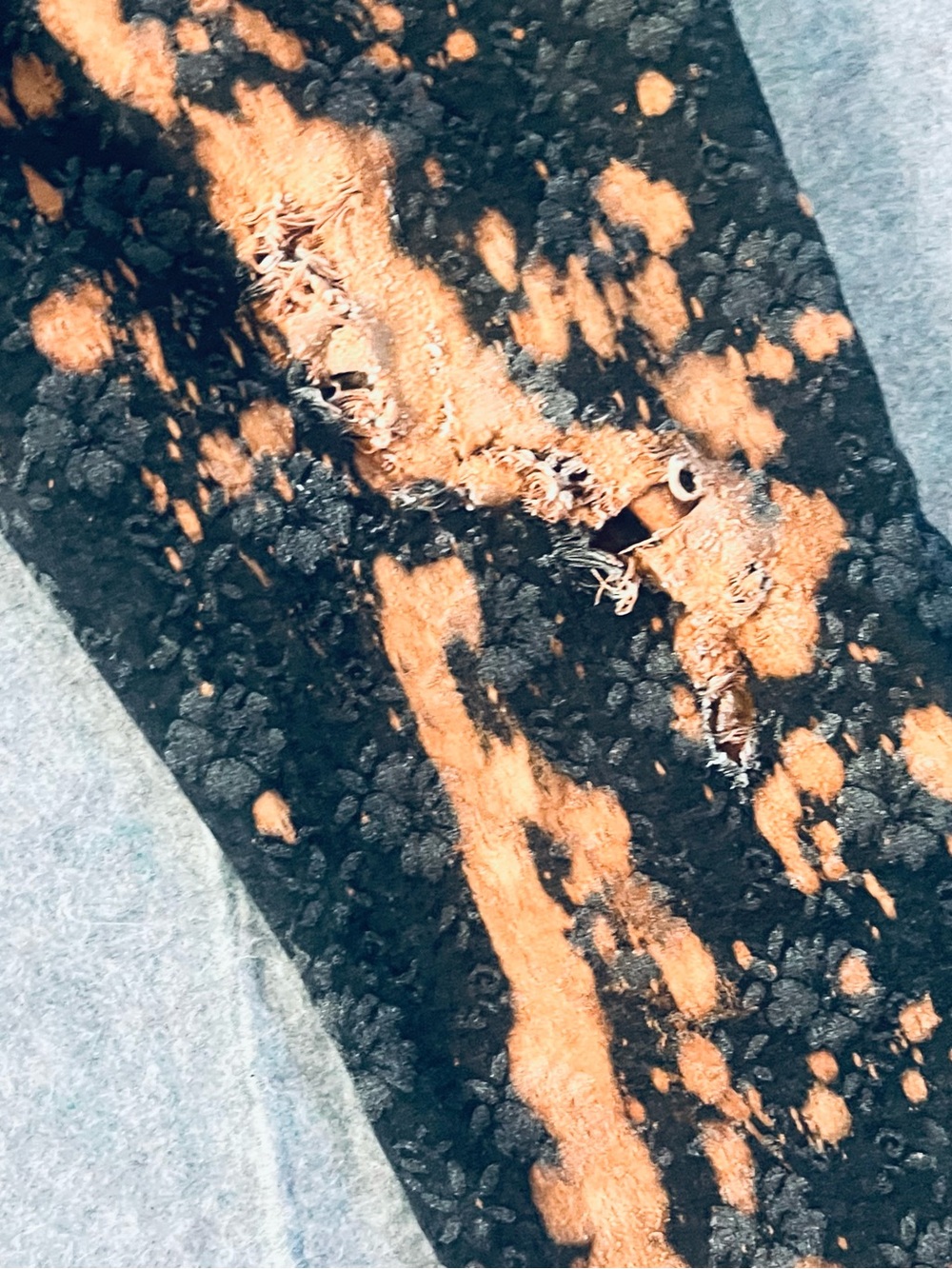 Banana Republic Black Jeans with Orange Bleach Splatter - Picture 7 of 8